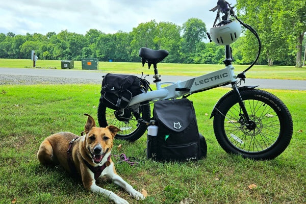 E bike delight