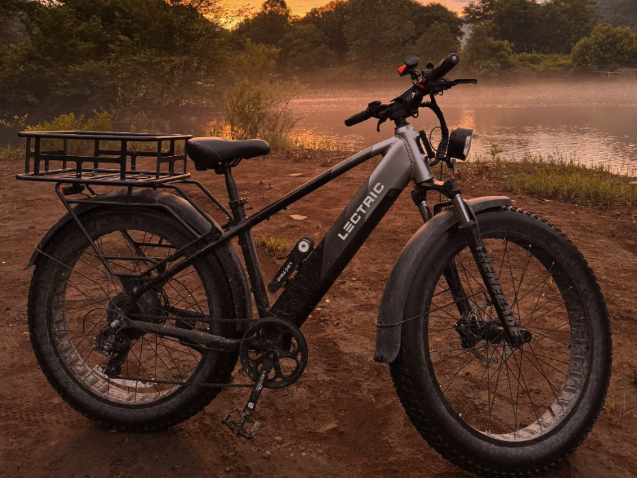 pedaler image